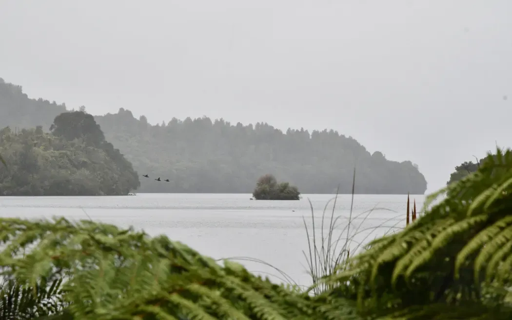 Rotorua Lakes Council Apologises for Wrong Information on Tarawera Sewerage Scheme