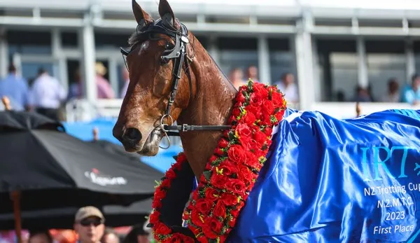 Well-travelled Swayzee Primed for Nz Cup Defence