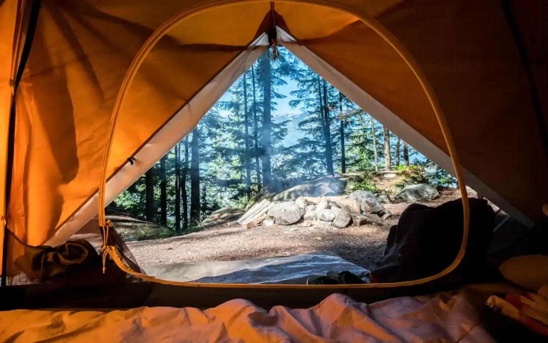 Camping under the Stars in the Nz Wilderness