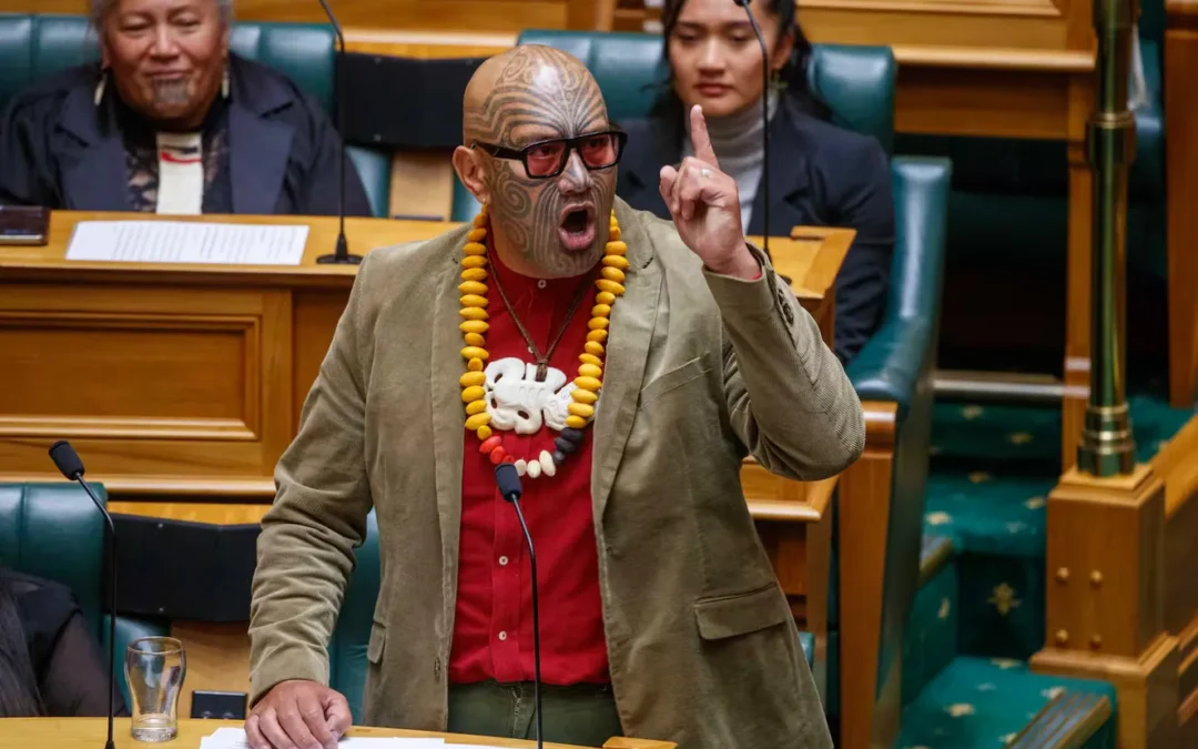 Treaty Principles Bill Vote: How the Fiery Debate Led to Mp Being Suspended, Another Kicked Out