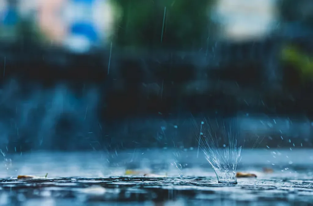 Some Heavy Rain Warnings Issued, ‘muggy’ Conditions for Most