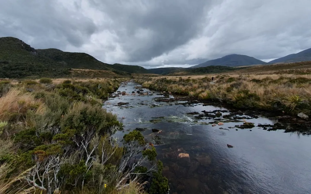 Government Considers Introducing Visitor Fees for New Zealand’s Most Visited National Parks and Conservation Areas