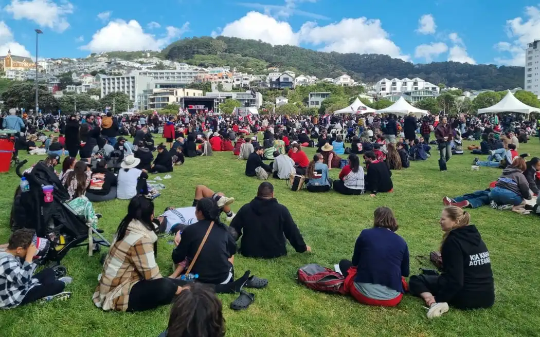 Wellington Businesses Report Busy Hīkoi Trading Day