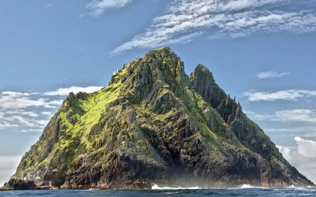 Exploring the Ancient Forests Of the North Island