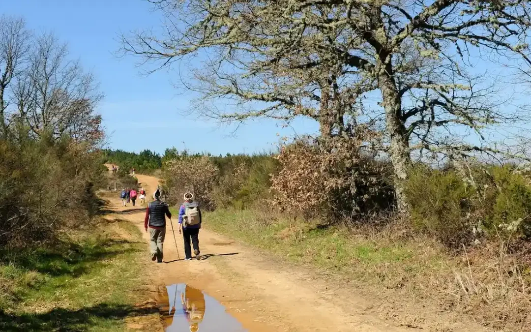 Taking the Easy Way: Road-tripping Along the Camino De Santiago