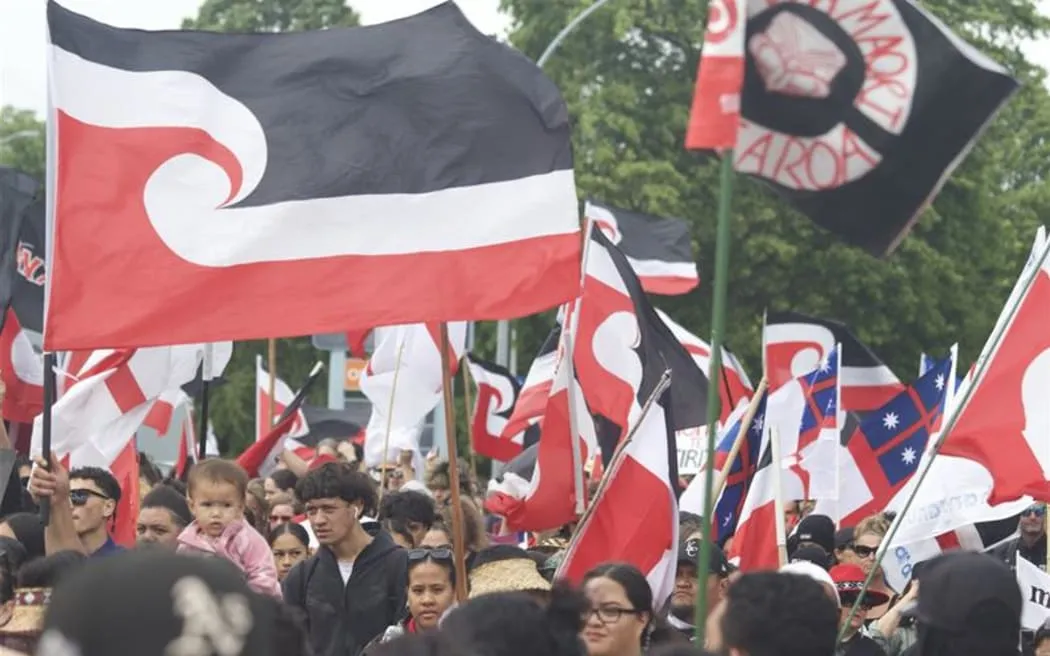 More than 3000 join Māori electoral roll after Treaty hīkoi