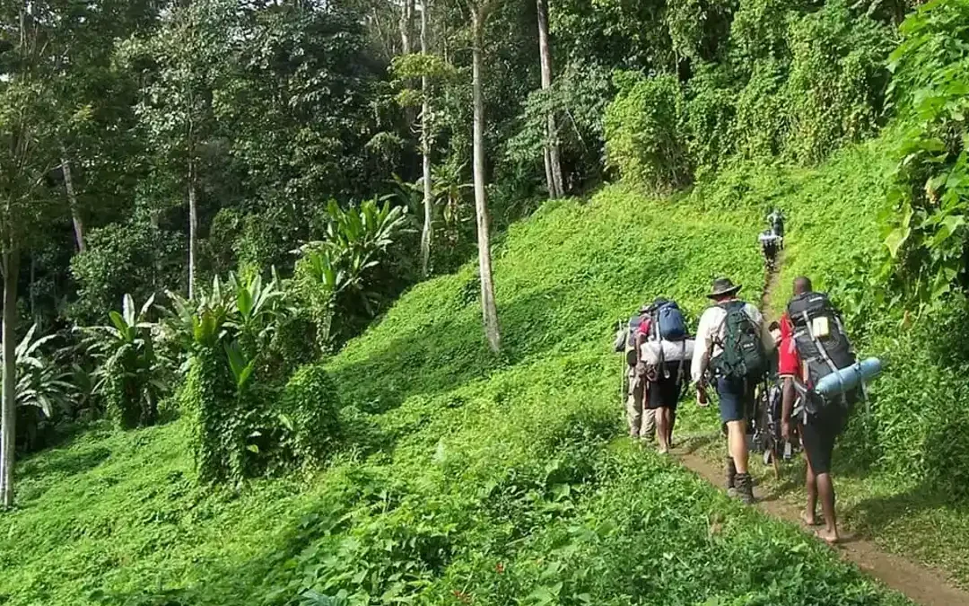 Papua New Guinea’s Kokoda Track reopens today