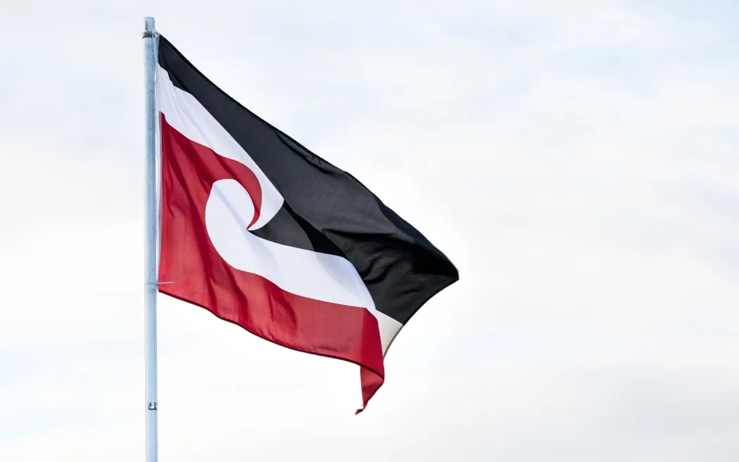 Petition for Tino Rangatiratanga flag emoji gains momentum