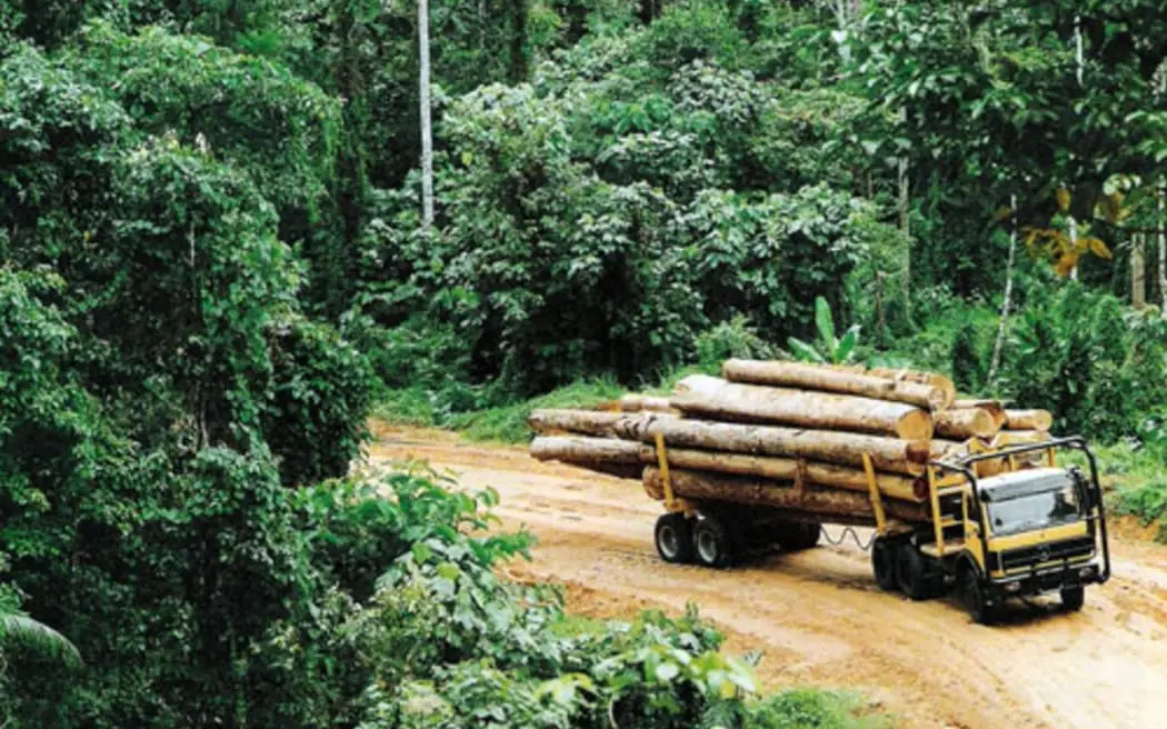 Watchdog lambasts PNG’s poor governance in controversial forestry deal