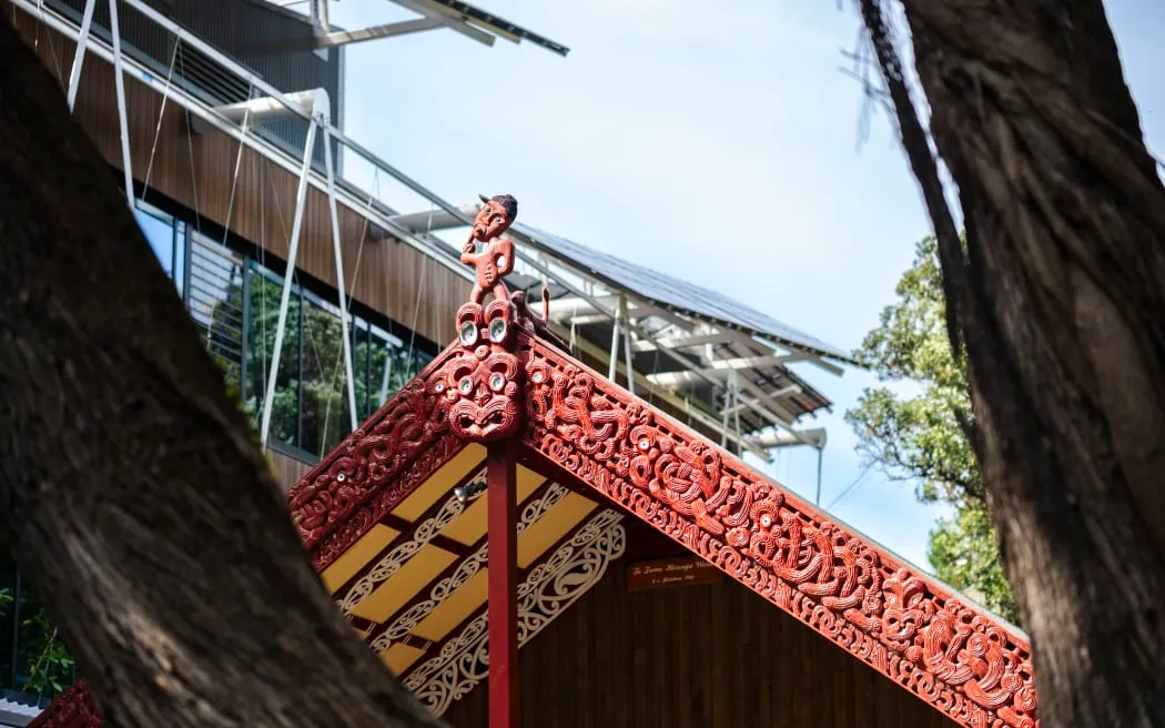 Te Tumu Herenga Waka, the oldest university marae in Aotearoa, reawakened after years-long closure