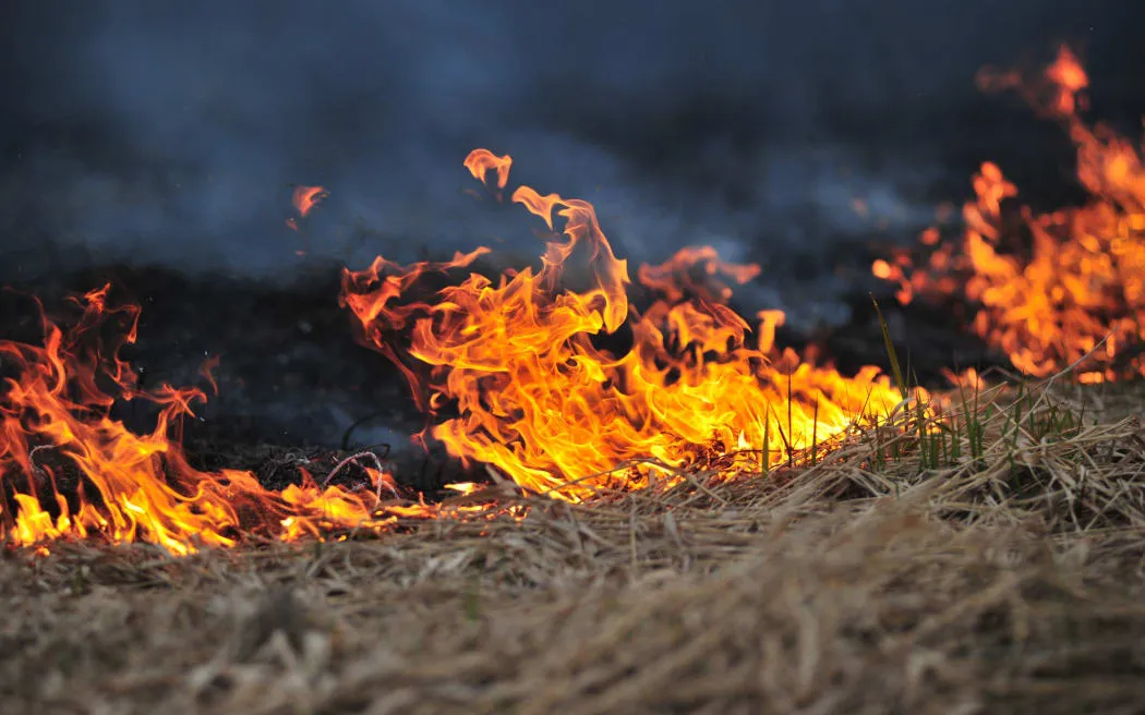 Crews battle large scrub fire in Canterbury